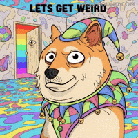 Shiba Inu Rainbow GIF by Doge Pound