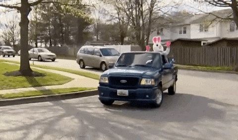 Easter Bunny GIF