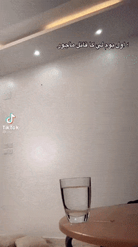 Funny Or Die Lol GIF by TikTok MENA