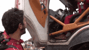 Palibex  GIF