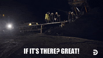 Did My Best Goldrush GIF by Discovery