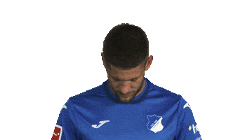 Look Up Tsg Hoffenheim Sticker by Bundesliga