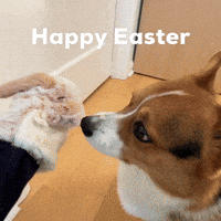 Dog Easter GIF