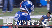 New York Giants Football GIF by NFL