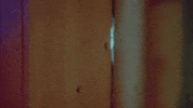 GIF by Victoria Justice