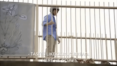 season 4 episode 10 GIF by Workaholics
