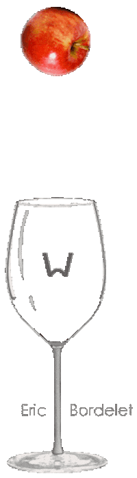 Apple Cider Sticker by Wine & Only