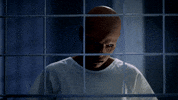 fox abby GIF by Wayward Pines