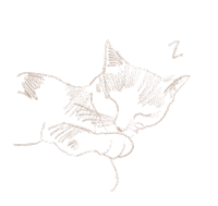 eelmores cat sleep kitty sleepy Sticker