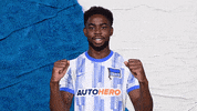Goal Win GIF by Hertha BSC
