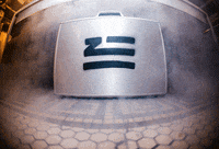 zhu GIF by Mind of a Genius