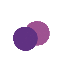 Logo Frutas Sticker by Polpanorte