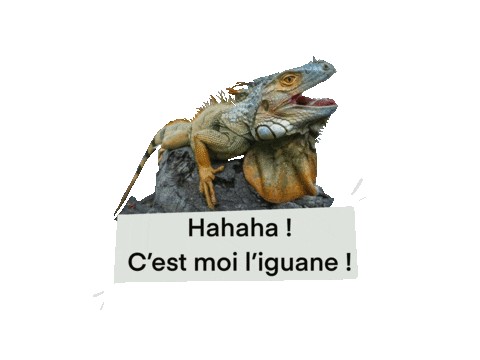 French Laugh Sticker by Teachizi