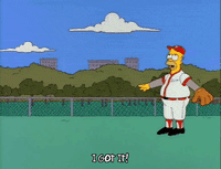 Season 3 Baseball GIF by The Simpsons