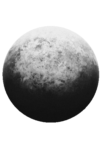 nofixedaddressinc giphyupload Sticker