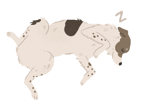 Animated Sticker