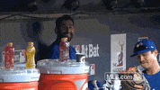 Toronto Blue Jays Smile GIF by MLB