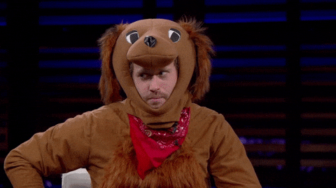 Dog Costume GIFs Find Share On GIPHY dog-costume-gifs-find-share-on-giphy