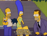 Season 2 GIF by The Simpsons