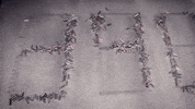 art tech GIF
