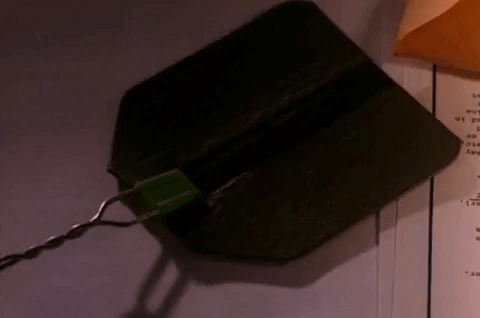 season 2 GIF by Twin Peaks on Showtime