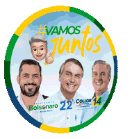 Vamosjuntos Colorir Sticker by Fernando Collor