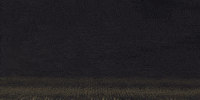 Sale Entra GIF by Dorados de Sinaloa