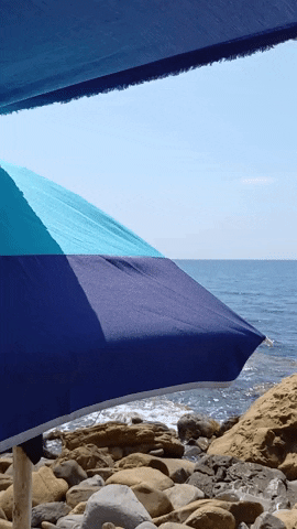 Simongip giphygifmaker GIF