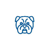 Des Moines Dog Sticker by Drake University