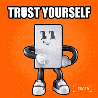 You Got This Crypto GIF by Ledger