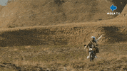 Happy Fun GIF by MolaTV