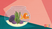 scared peek a boo GIF by Super Simple