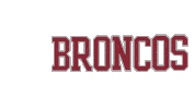 Santa Clara University Go Broncos Sticker by Santa Clara Broncos