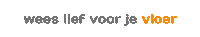 Scratch Vloer Sticker by scratchnomore