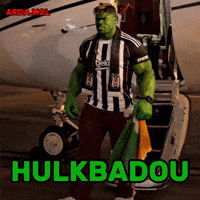Besiktas GIF
