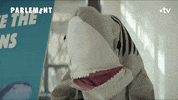 Humour Parlement GIF by France tv