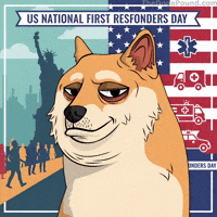 Shiba Inu Brand GIF by Doge Pound