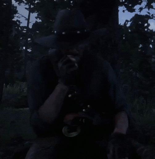 nintendumpster giphyupload ps4 rdr2 rockstar games GIF