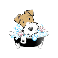 Wire Fox Terrier Sticker
