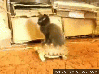 dirty GIF