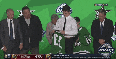 ice hockey sport GIF by NHL