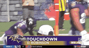 Baltimore Ravens Football GIF by NFL