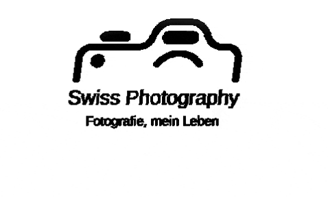 Swiss-Photography giphygifmaker swiss kamera fotograf GIF