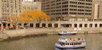 chicago illinois GIF