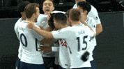 London Football GIF by Tottenham Hotspur