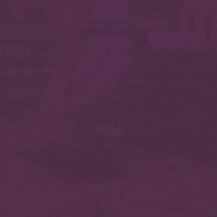 Top 100 Portugal GIF by Sommeliers Choice Awards