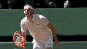 Taylor Fritz GIF by Wimbledon