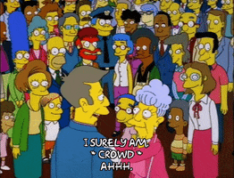 homer simpson anges skinner GIF