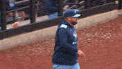 Blue Jays Baseball GIF by Toronto Blue Jays