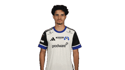 Hamburger Sv Hello Sticker by Bundesliga